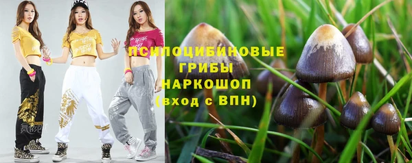 скорость mdpv Бородино