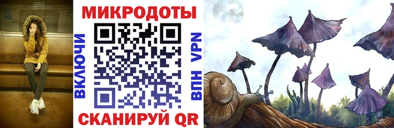 Галлюциногенные грибы GOLDEN TEACHER  mega сайт  Ковдор 